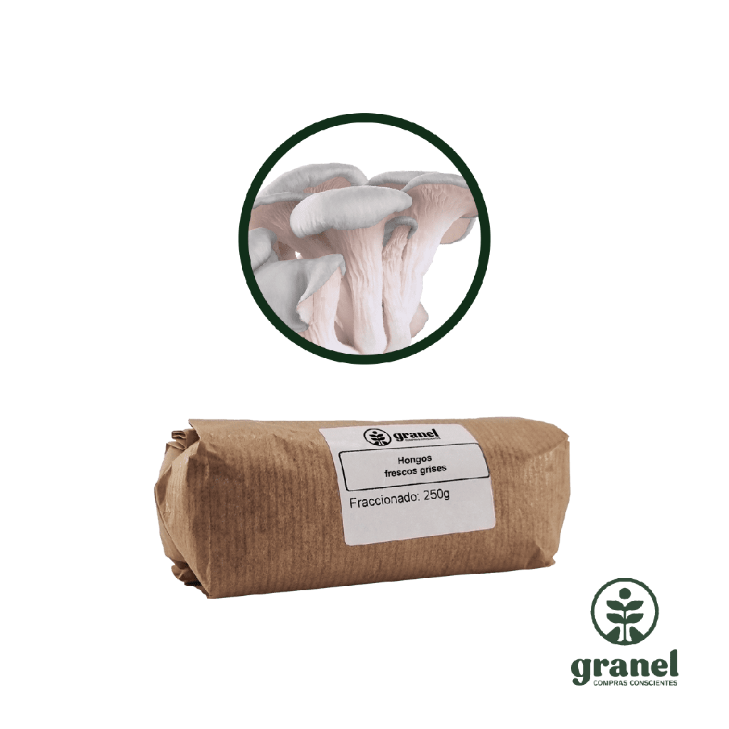 Hongos congelados grises 250g