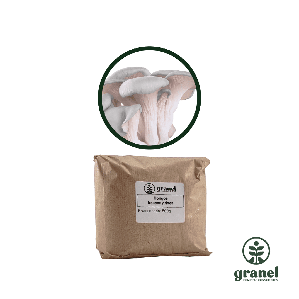 Hongos congelados grises 500g