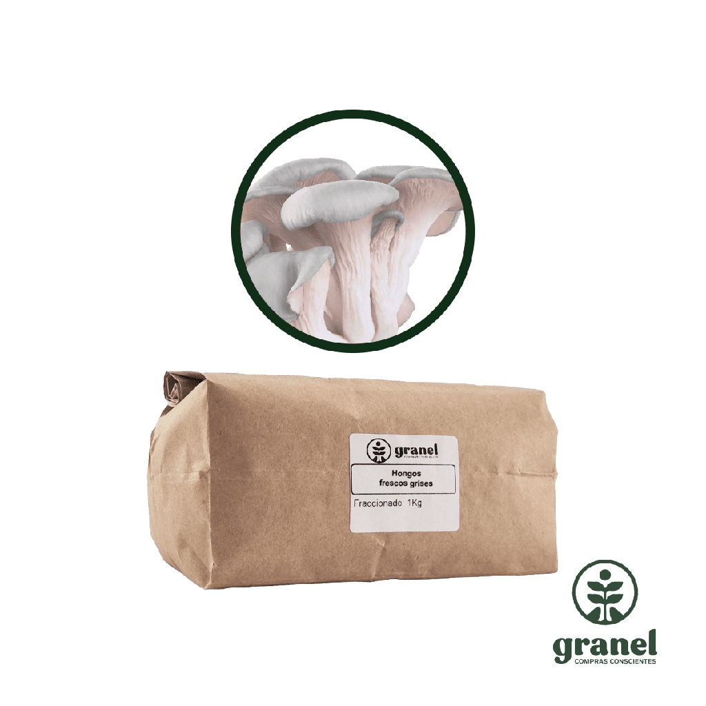 Hongos congelados grises 1kg