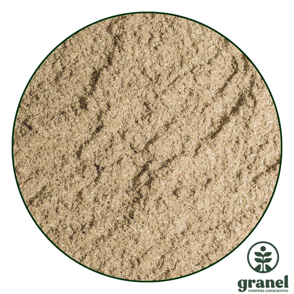 Coriandro molido 500g