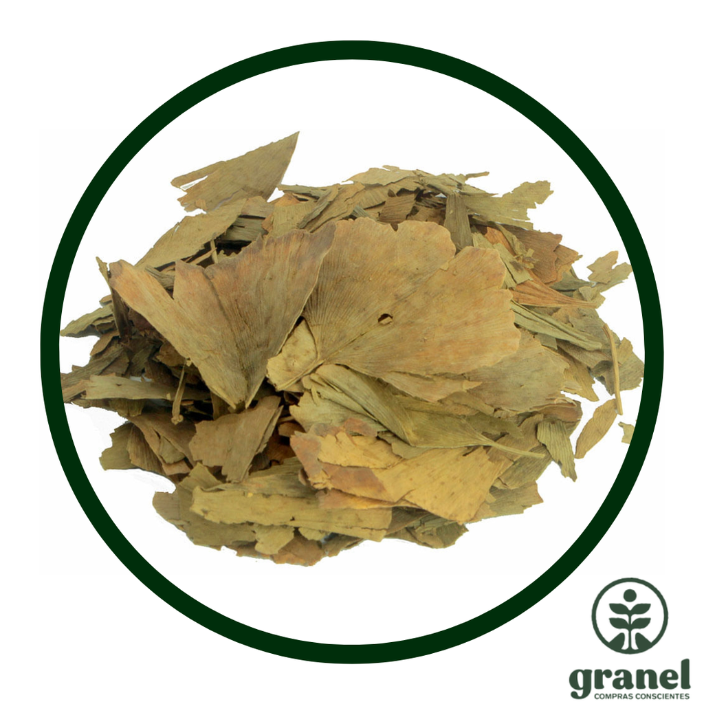 Ginkgo biloba 75g