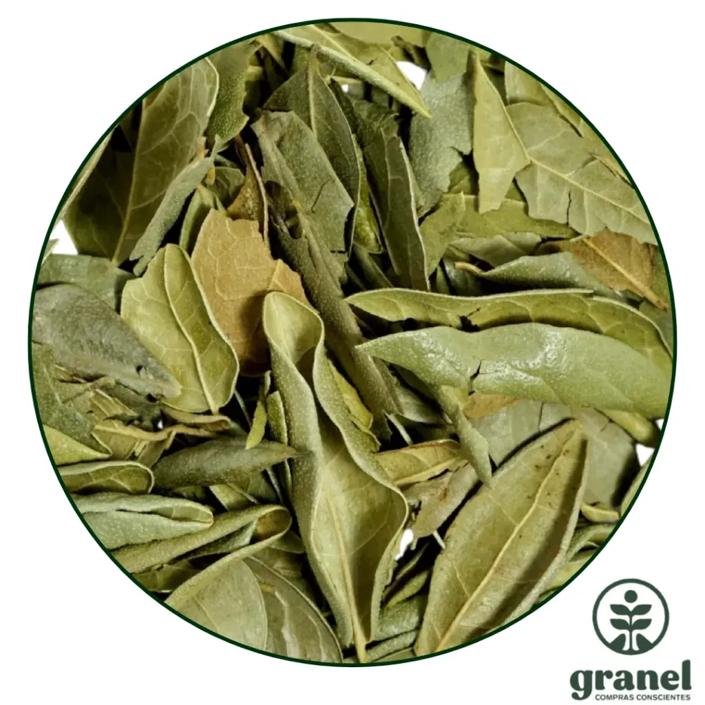 Boldo 250g
