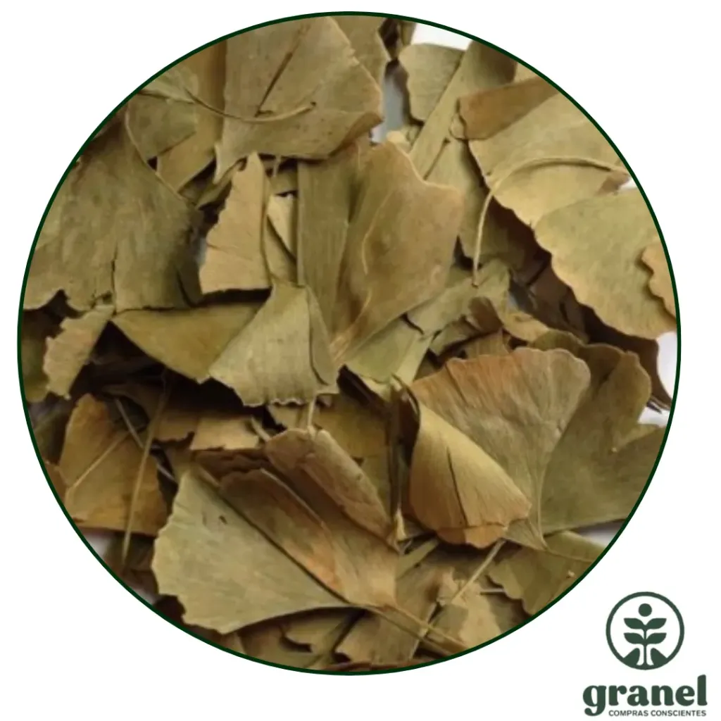 Ginkgo biloba 1kg