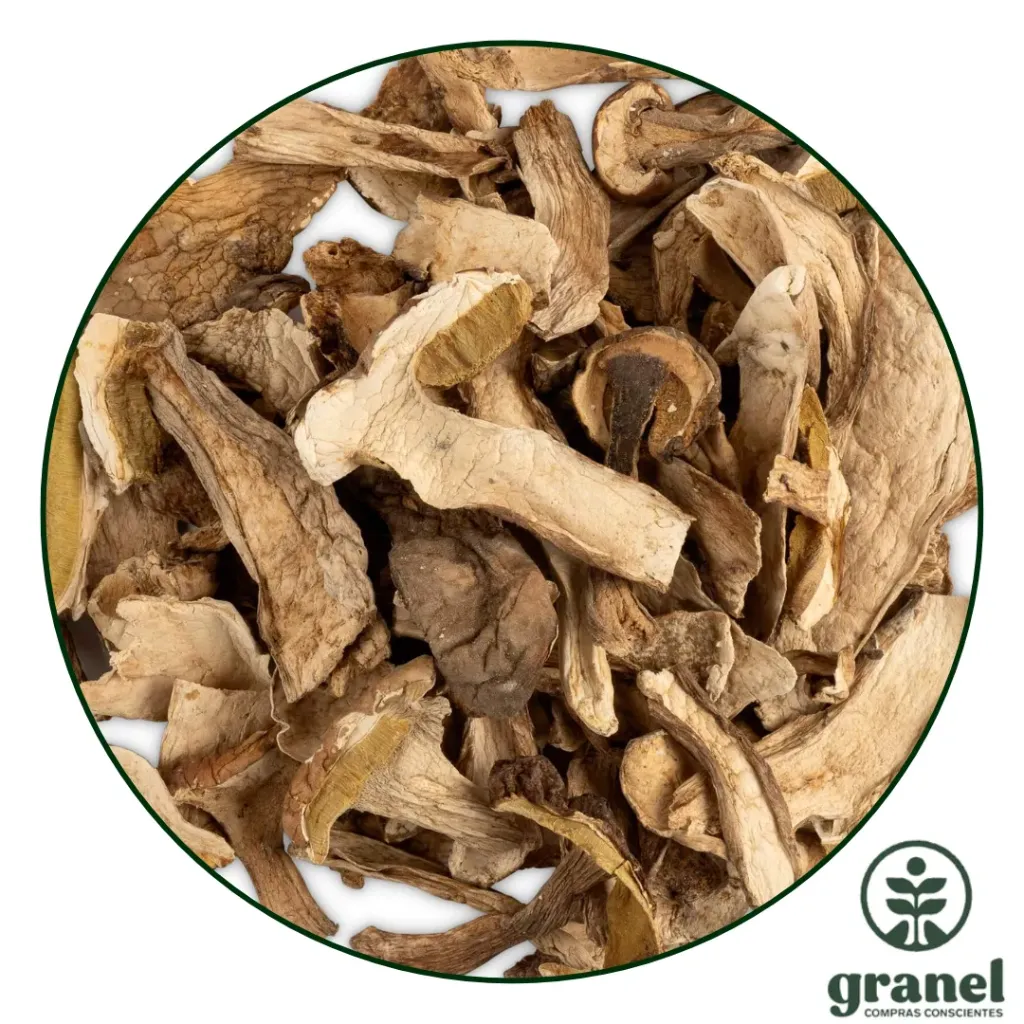 [6056] Hongos secos boletus luteus 1kg