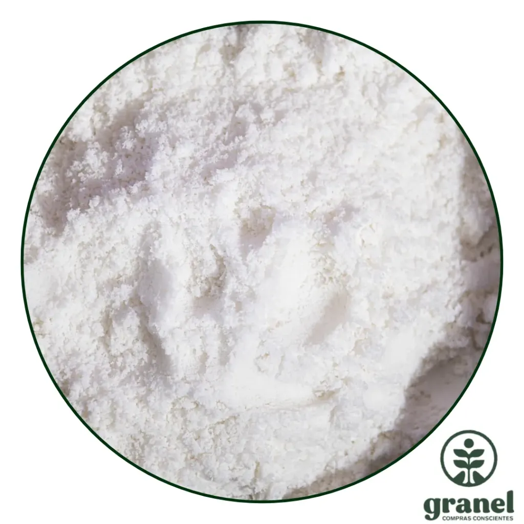 [10872] Leche de coco en polvo orgánica 100g
