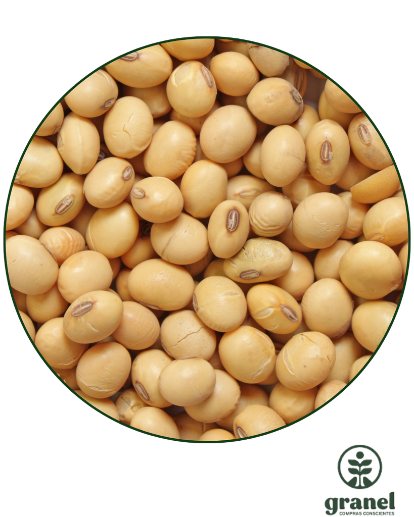 Porotos de soja orgánico 2,5kg