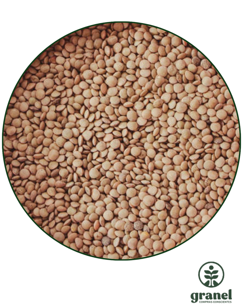 Lentejas 2.5kg
