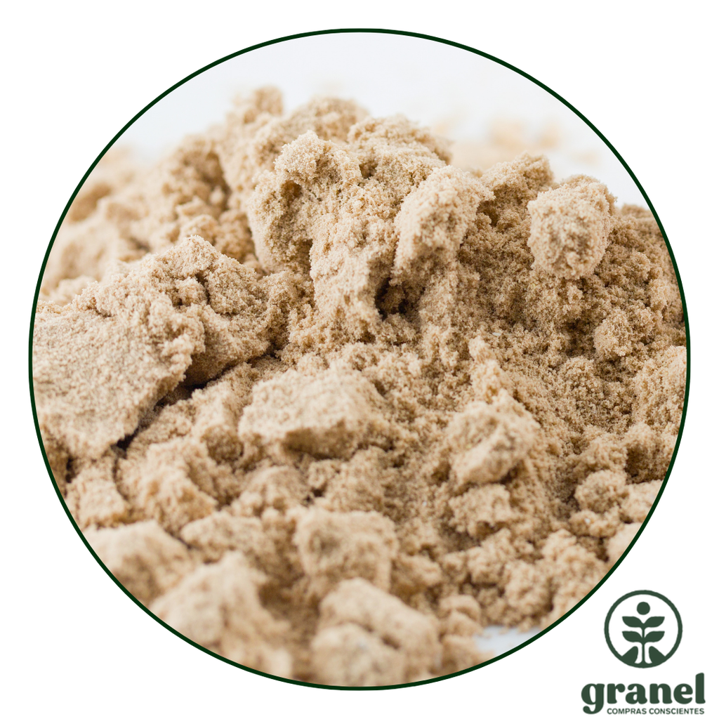 Psyllium husk en polvo 100g