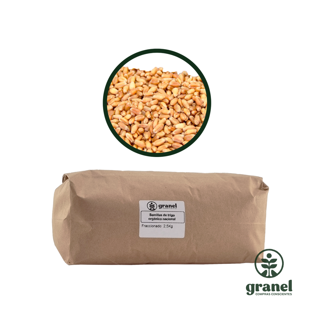 Semillas de trigo orgánico nacional 2.5kg