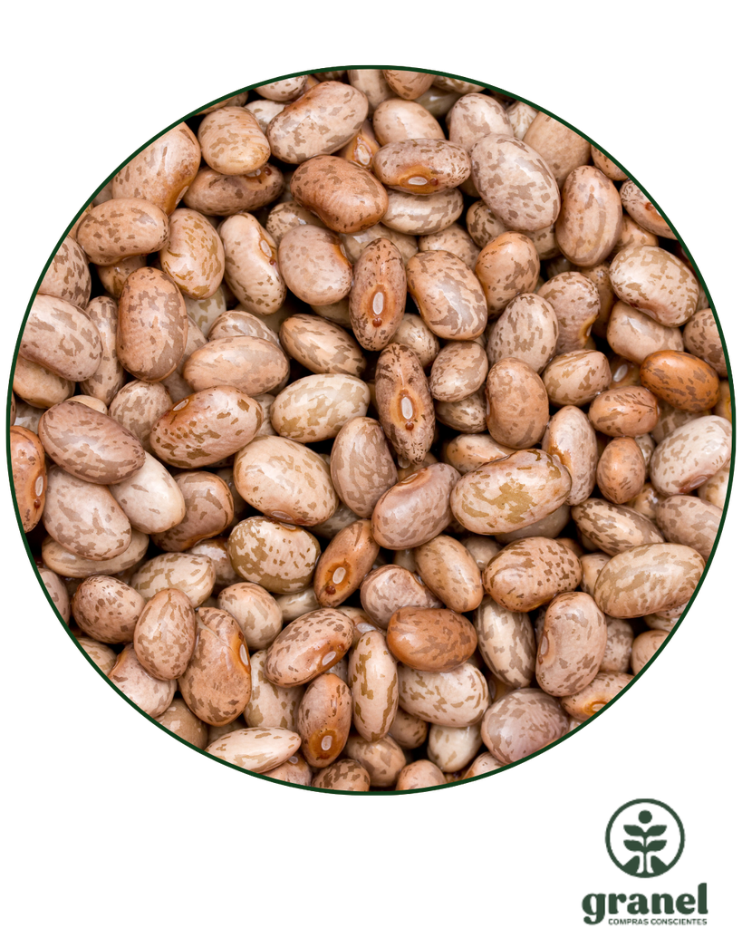 [6482] Poroto frutilla 2.5kg