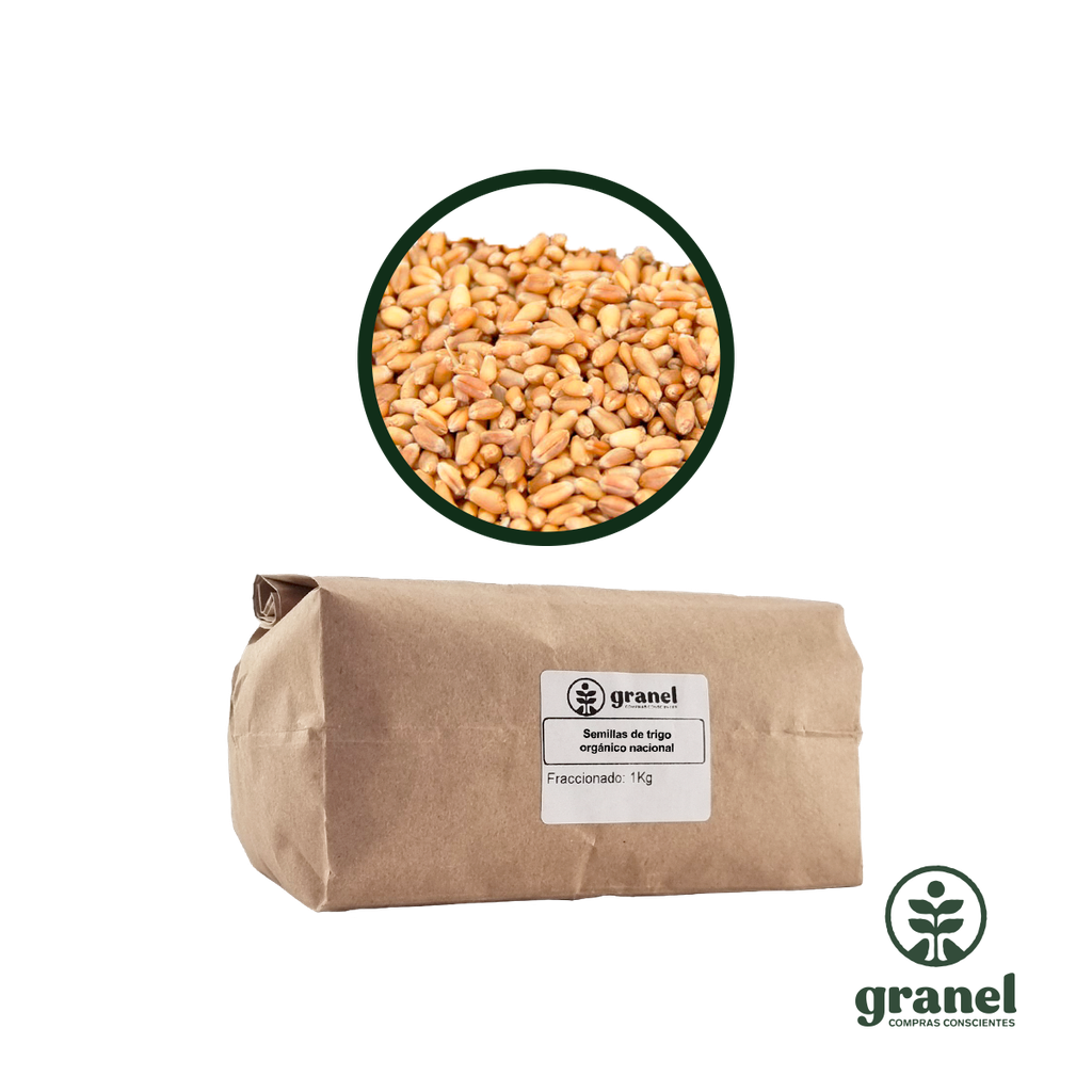 [6595] Semillas de trigo orgánico nacional 1kg