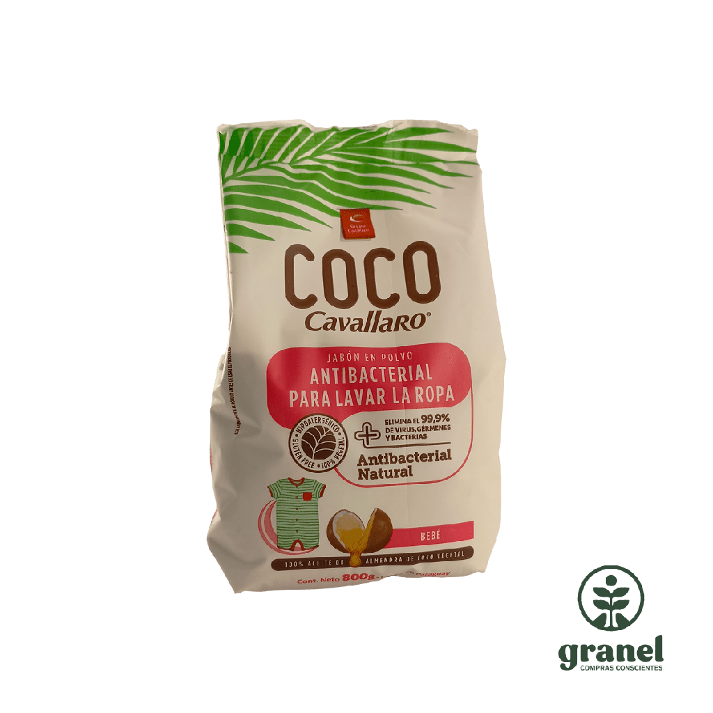 Leche de coco en polvo 100g Granel