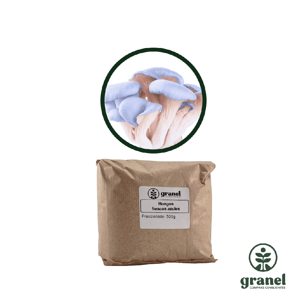 [10170] Hongos congelados azules 500g
