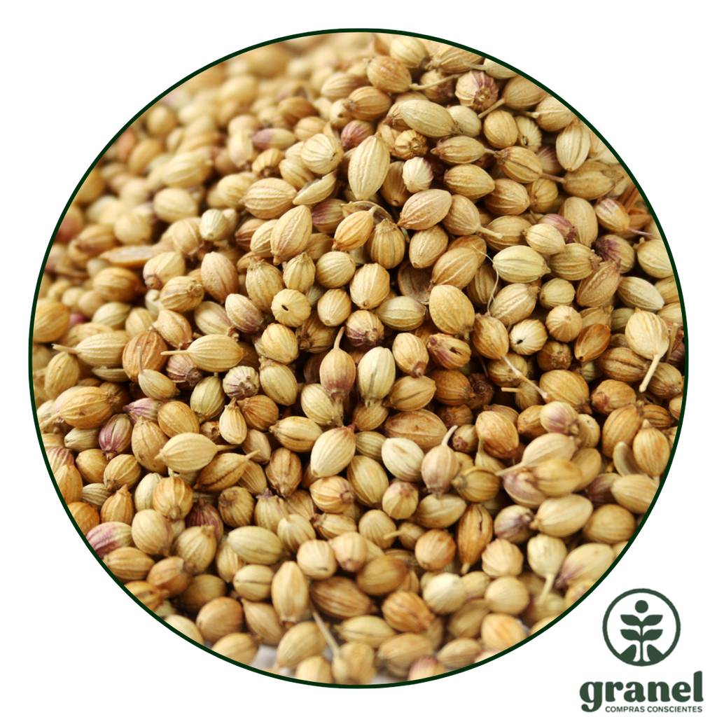 [3615] Coriandro en grano 100g
