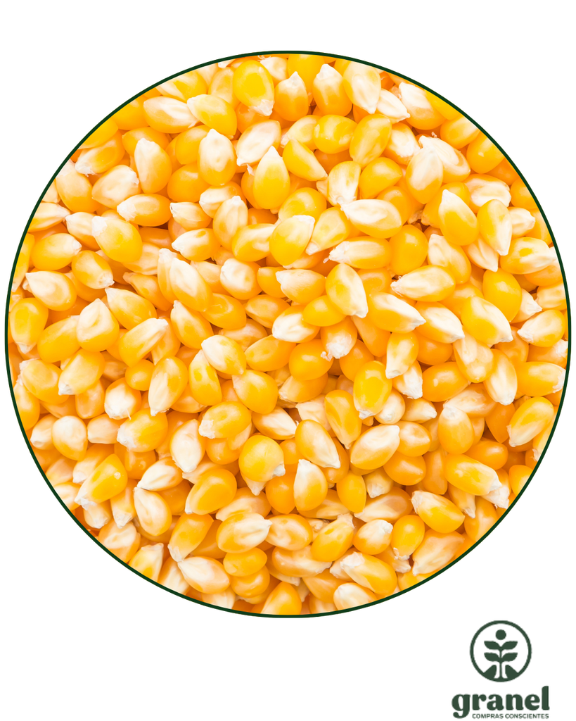 [6176] Maíz pop pisingallo 1kg